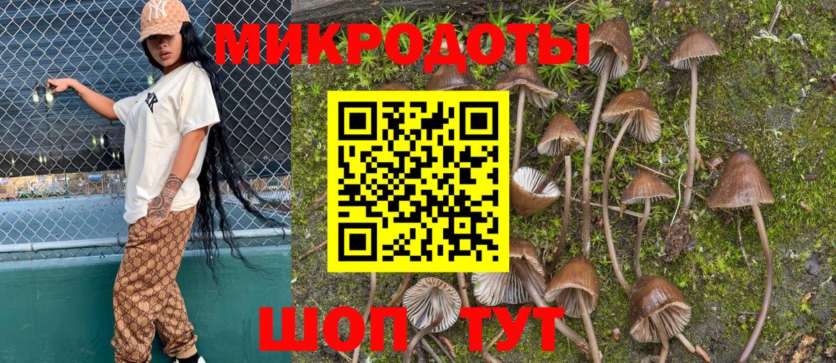 Галлюциногенные грибы мухоморы  Вход с VPN  Лосино-Петровский 