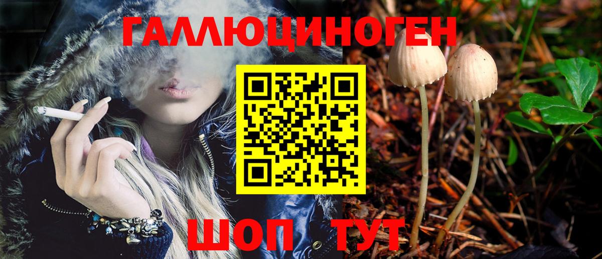 Галлюциногенные грибы Psilocybe Лосино-Петровский